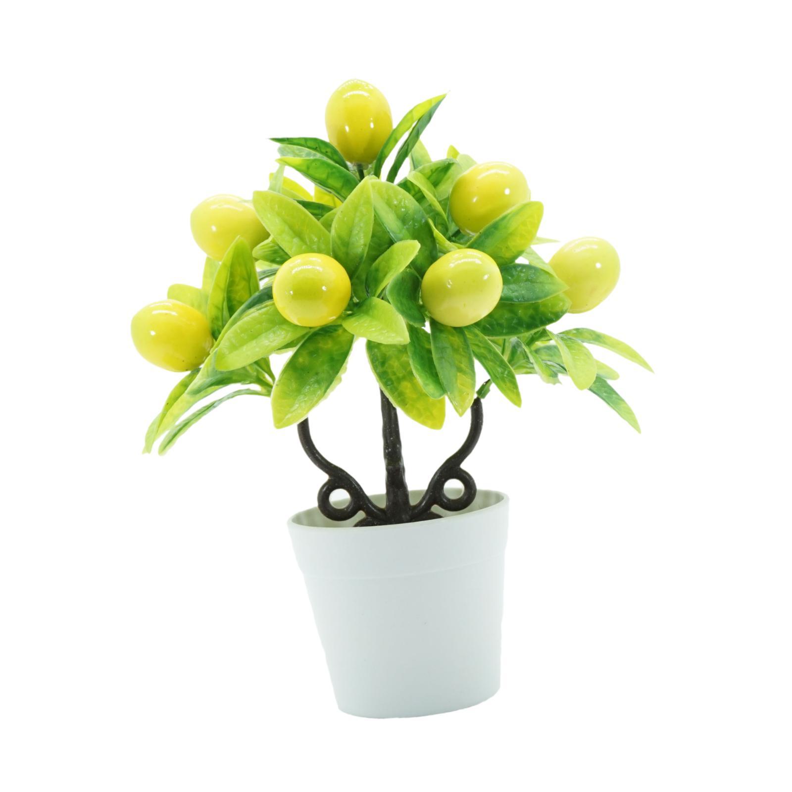 Plantas Artificiais em Vaso Re - Plant Pot Small Desk avaliação e preço