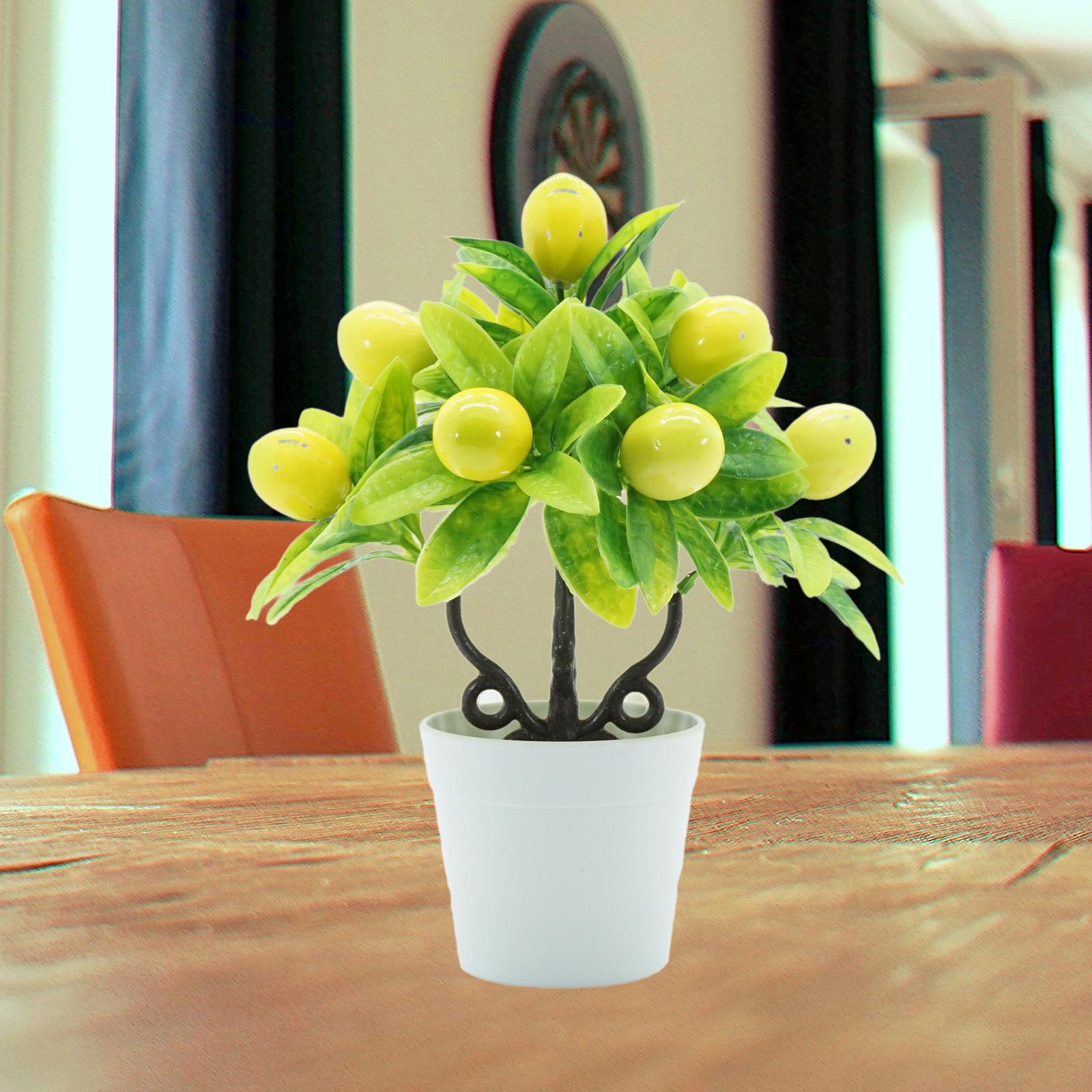 Plantas Artificiais em Vaso Re - Plant Pot Small Desk avaliação e preço