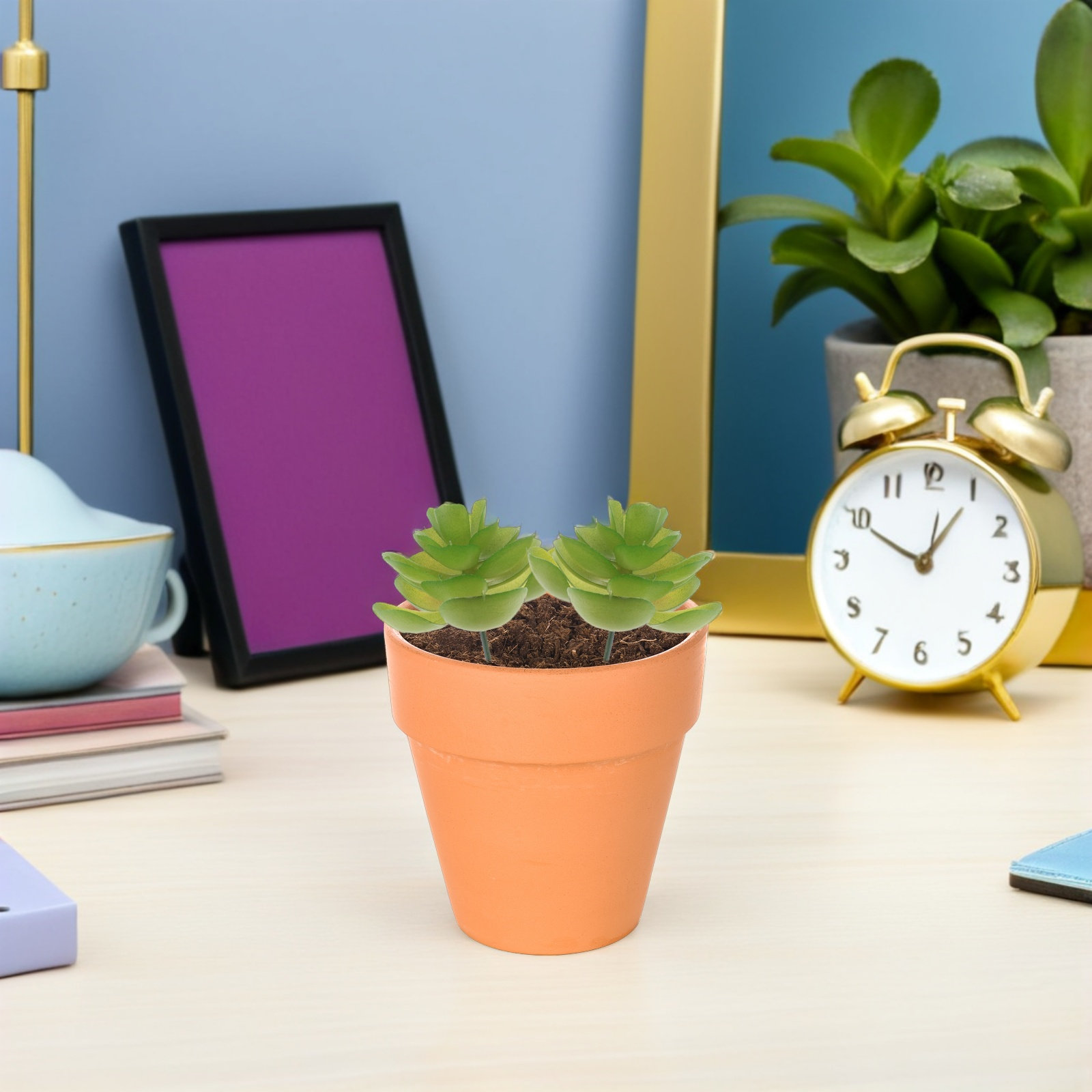6 Peças de Plantas Suculentas  - Plant Pot Small Desk avaliação e preço